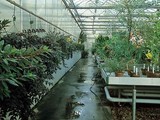 sklenk libereck botanick zahrada