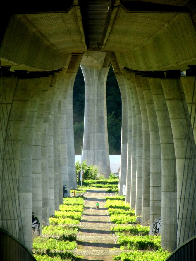 Podobu Suchdolskho mostu na chystan severn sti Praskho okruhu ur architektonick sout