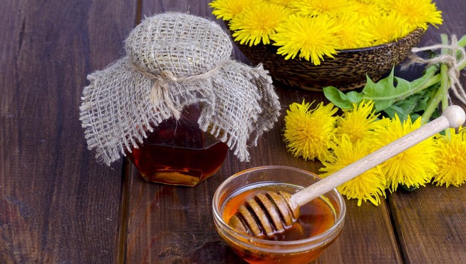 Pampeliškový med: chutný a zdravý med, který si snadno připravíte doma sami